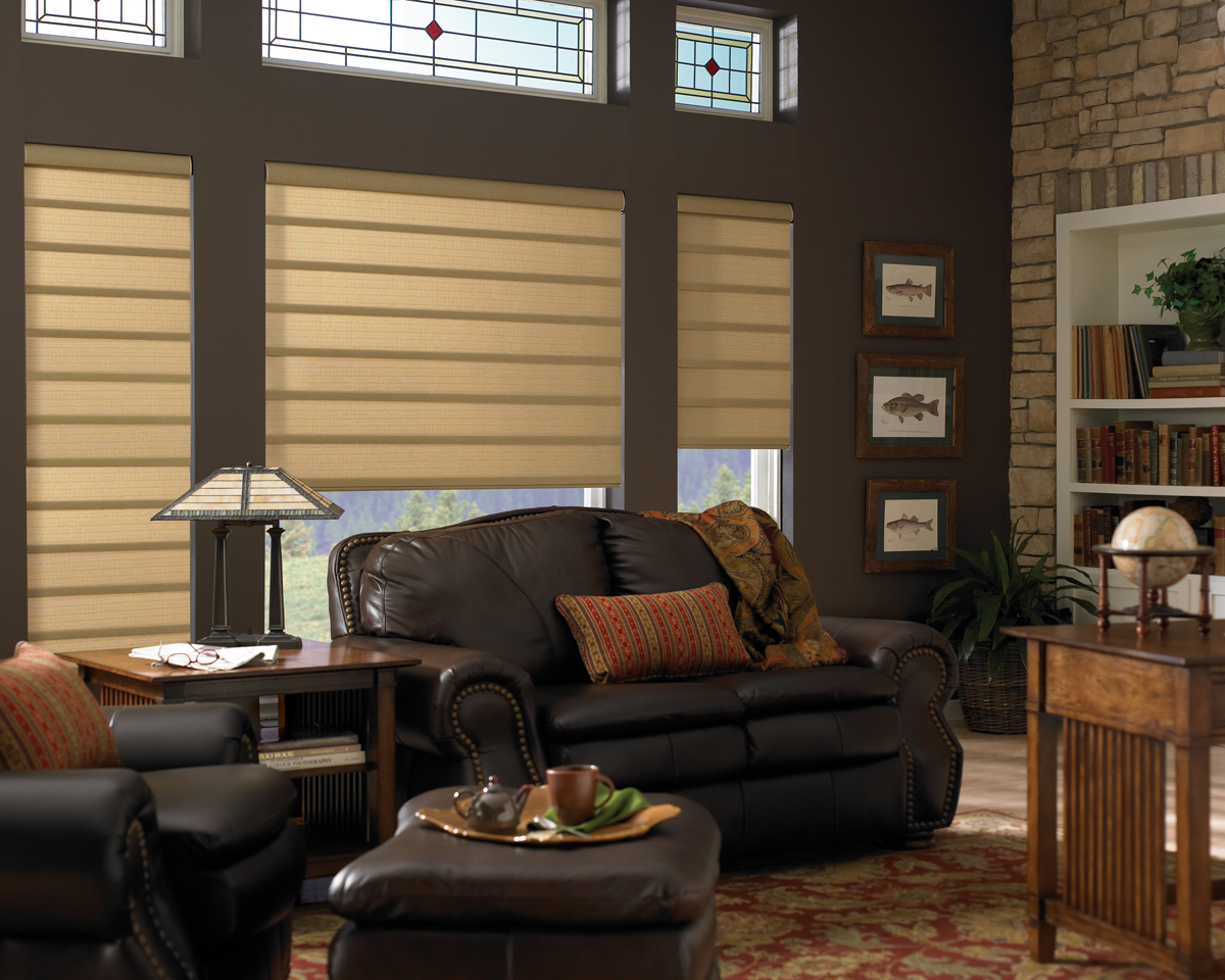 DISCOUNT WINDOW BLINDS, BLINDS TO GO, ENCLOSED MINI BLINDS