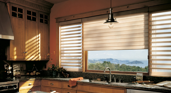 PHOENIX WINDOW TREATMENTS | HUNTER DOUGLAS WINDOW FASHIONS, BLINDS